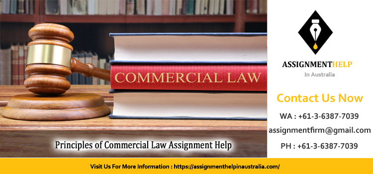 BUSN9123 Principles of Commercial Law Assignment 
