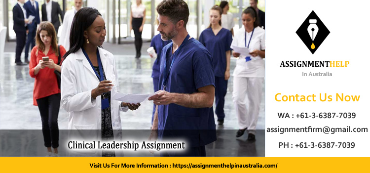 NRSG375 Clinical Leadership Assignment