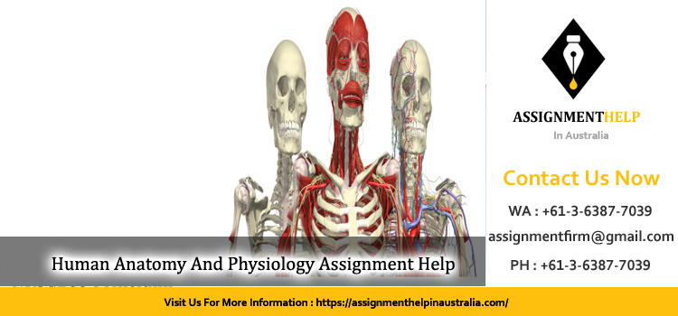 1808NRS Human Anatomy And Physiology Assignment