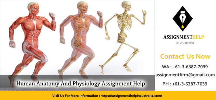 1808NRS Human Anatomy And Physiology Assignment