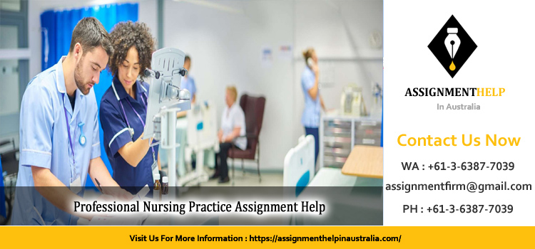 3806NRS Professional Nursing Practice Assignment