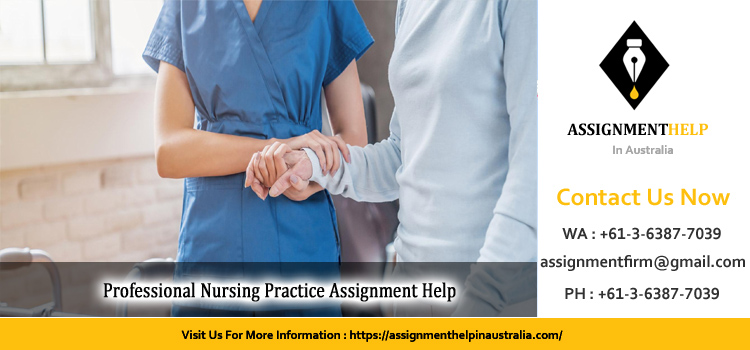 3806NRS Professional Nursing Practice Assignment