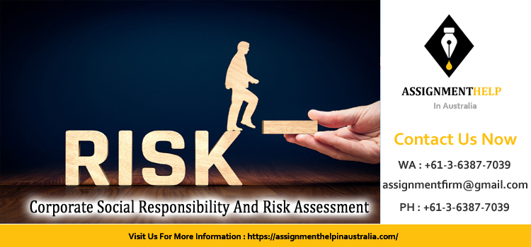 8005CGOV Corporate Social Responsibility And Risk Assessment 