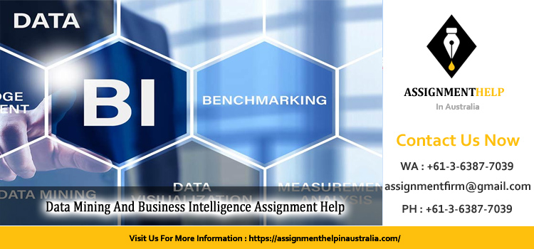BISY3001 Data Mining And Business Intelligence Assignment