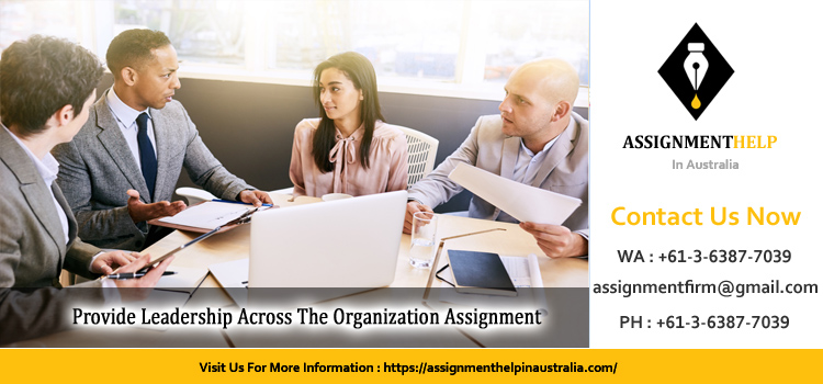BSBLDR602 Provide Leadership Across The Organization Assignment