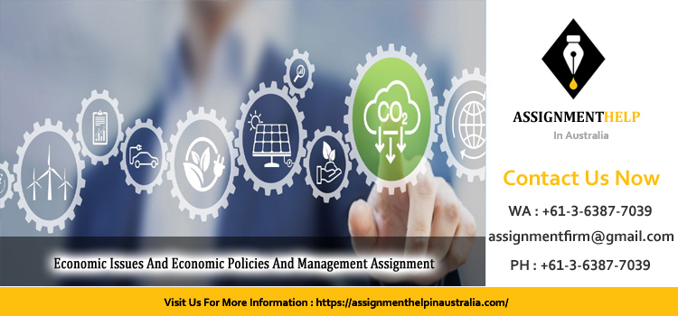 Economic Issues And Economic Policies And Management Assignment