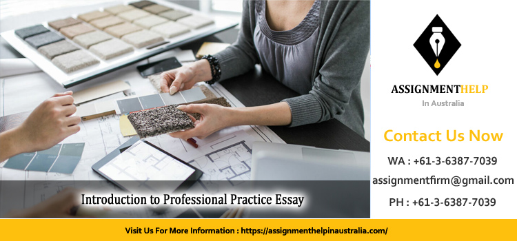 HLT1IPP Introduction to Professional Practice Essay 