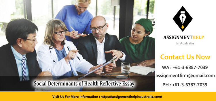 HSNS246 247/447 Social Determinants of Health Reflective Essay  