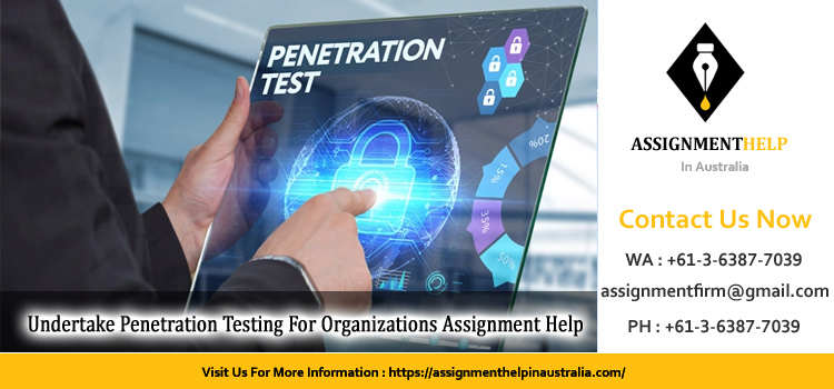 ICTCYS603 Undertake Penetration Testing For Organizations Assignment