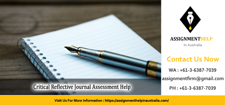 MGNT803 Critical Reflective Journal Assessment