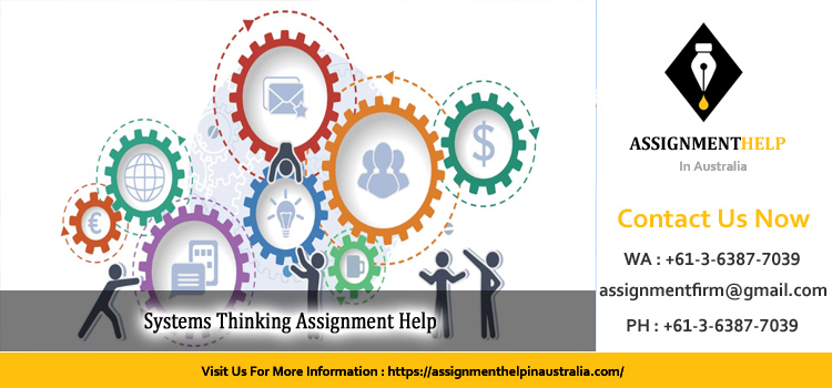 MGT603 Systems Thinking Assignment