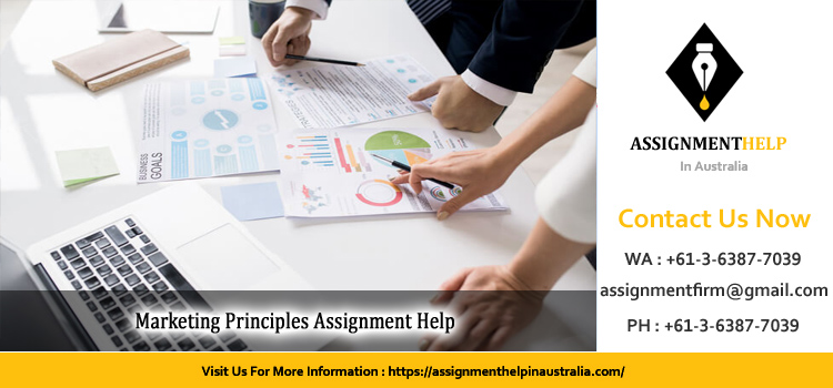 MKTG1025 Marketing Principles Assignment