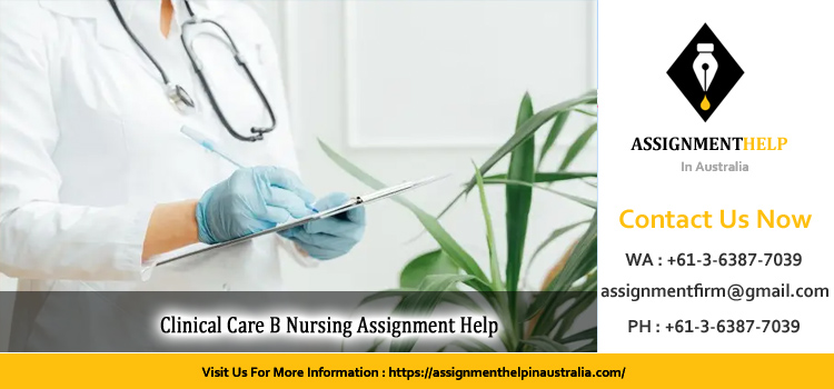 NSG2201 Clinical Care B Nursing Assignment