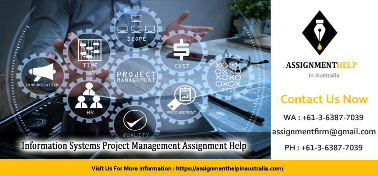 PRO100 Information Systems Project Management Assignment