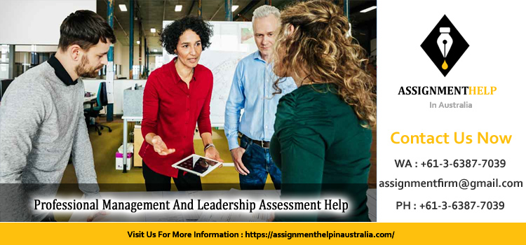 Professional Management And Leadership Assessment