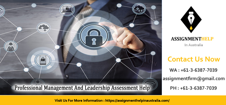 Professional Management And Leadership Assessment