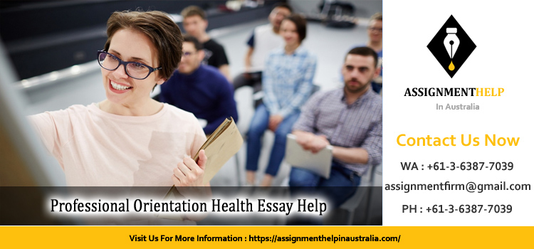 11400 Professional Orientation Health Essay