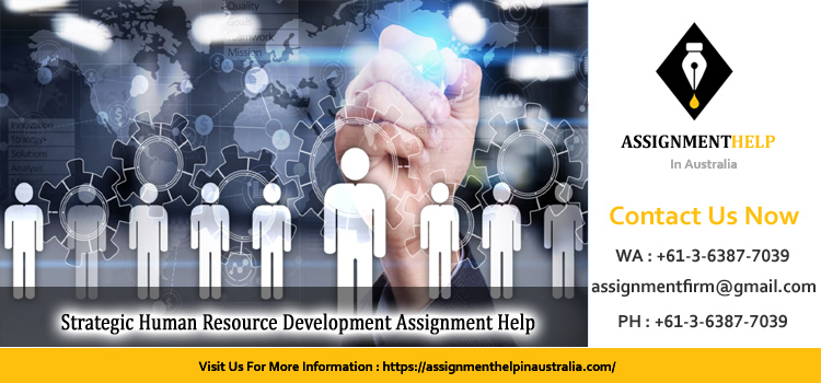BUSM4592 Strategic Human Resource Development Assignment