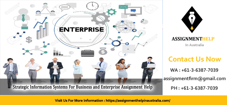 HI5019 Strategic Information Systems For Business and Enterprise Assignment