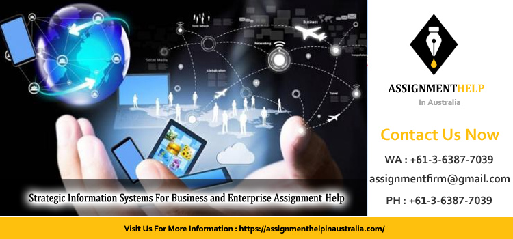 HI5019 Strategic Information Systems For Business and Enterprise Assignment