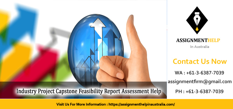 IND301B Industry Project Capstone Feasibility Report Assessment