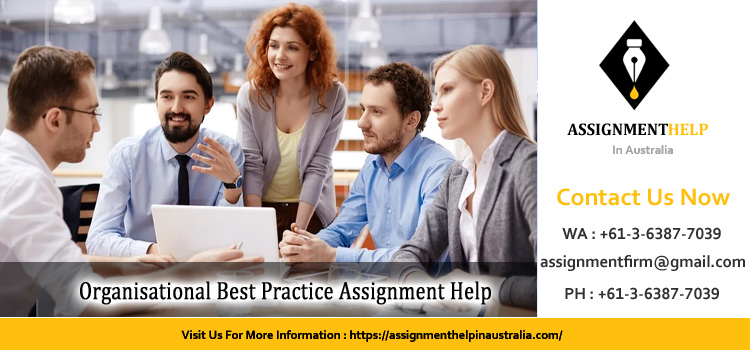 MGT610 Organisational Best Practice Assignment