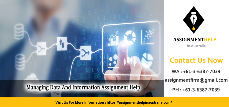 MIS202 Managing Data And Information Assignment