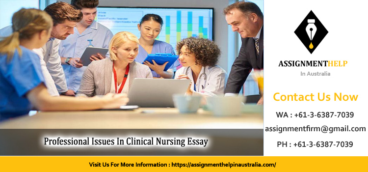 NNI5101 Professional Issues In Clinical Nursing Essay 
