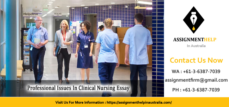 NNI5101 Professional Issues In Clinical Nursing Essay 