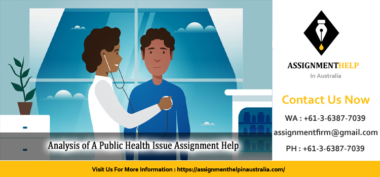 NSG3102 Analysis of A Public Health Issue Assignment