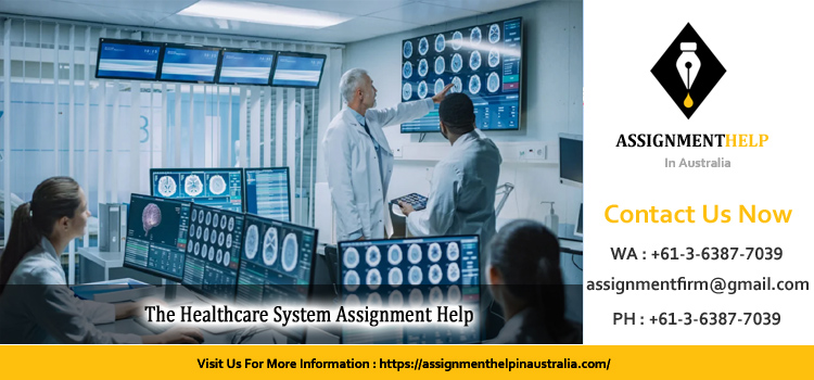 NURS4037 The Healthcare System Assignment