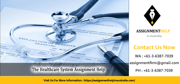 NURS4037 The Healthcare System Assignment