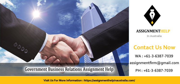 2004GIR Government Business Relations Assignment