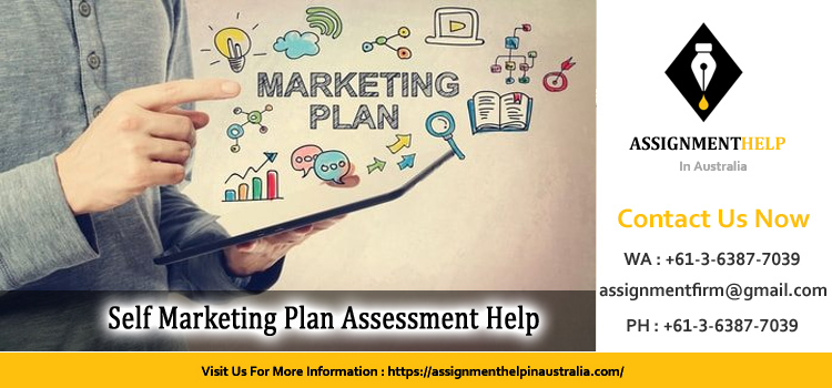 3029MKT Self Marketing Plan Assessment 