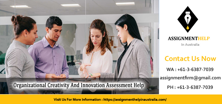 BIZ301 Organizational Creativity And Innovation Assessment