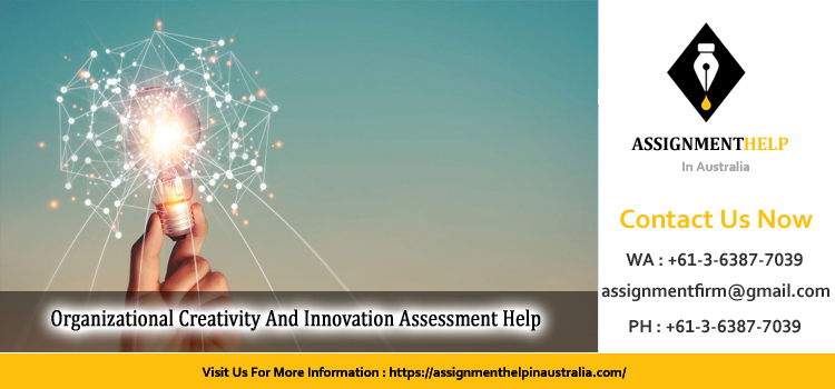 BIZ301 Organizational Creativity And Innovation Assessment