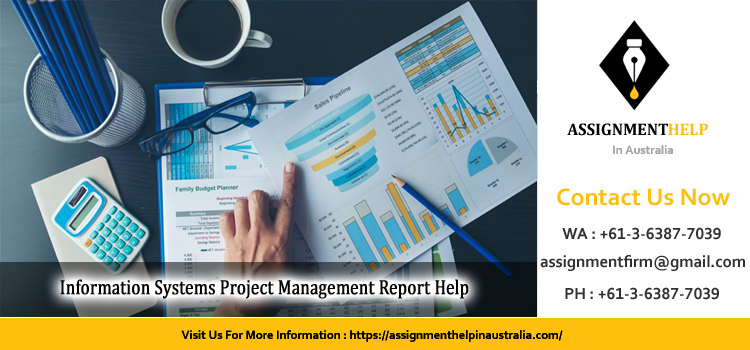 ISY2004 Information Systems Project Management Report