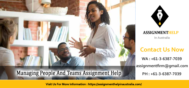 MGMT6009 Managing People And Teams Assignment