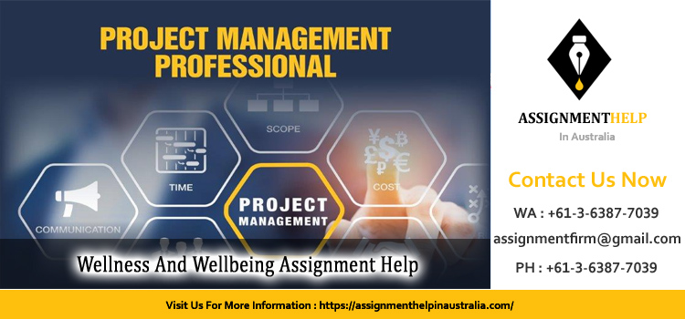 31272 Project Management And The Professional Assignment 