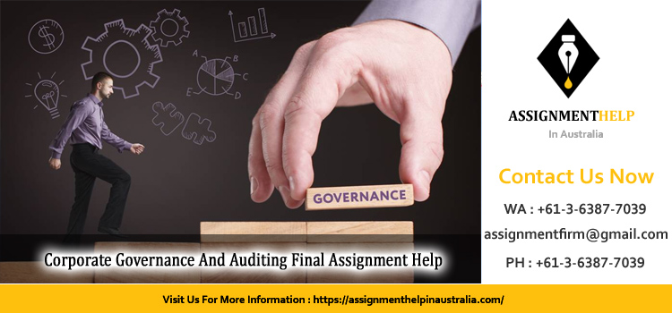 ACCT5015 Corporate Governance And Auditing Final Assignment