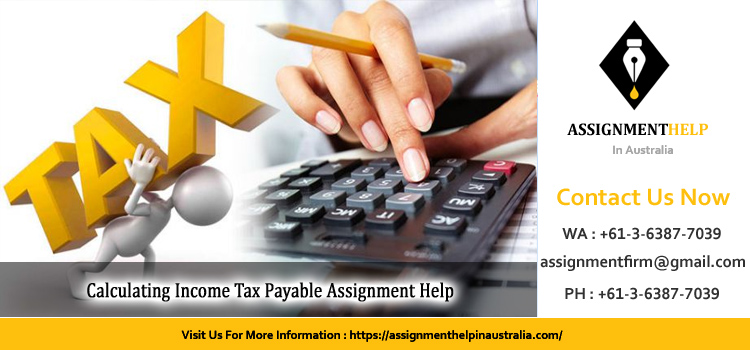 Calculating Income Tax Payable Assignment