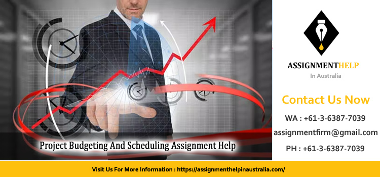 Project Budgeting And Scheduling Assignment