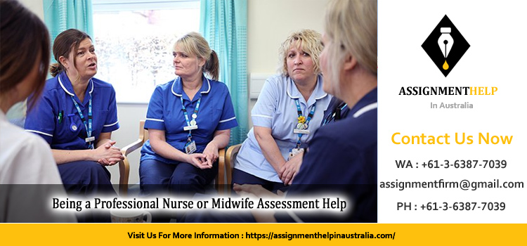 401021 Being a Professional Nurse or Midwife Assessment