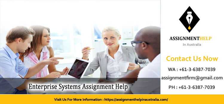 BISY2005/ISY2005/ISY205 Enterprise Systems Assignment