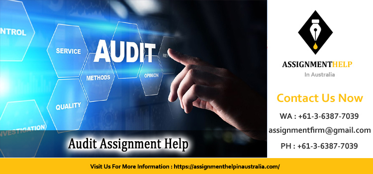3102AFE Audit Assignment