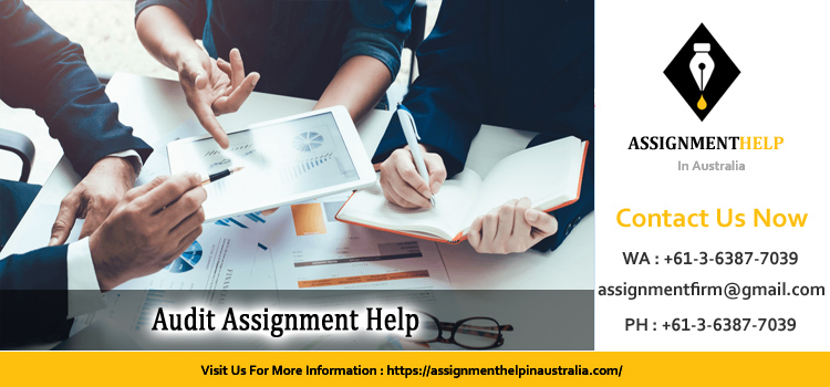 3102AFE Audit Assignment