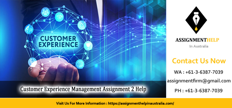 BIZ104 Customer Experience Management Assignment 2