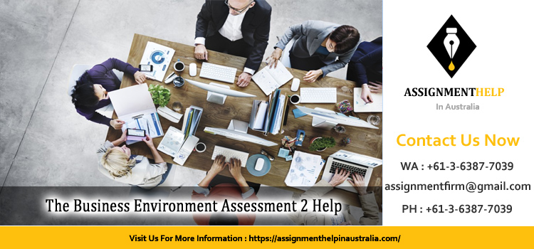 BIZ202 The Business Environment Assessment 2