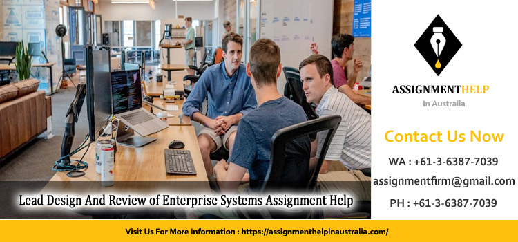 BSBMGT802 Lead Design And Review of Enterprise Systems Assignment