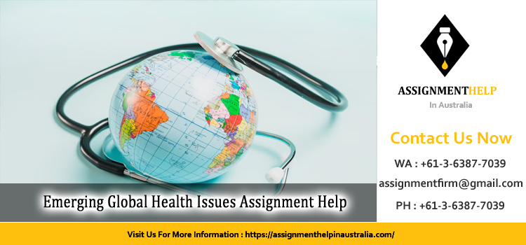 NURS30038 Emerging Global Health Issues  Assignment
